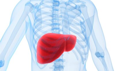 Quali sono i migliori 5 rimedi per il fegato ingrossato?
