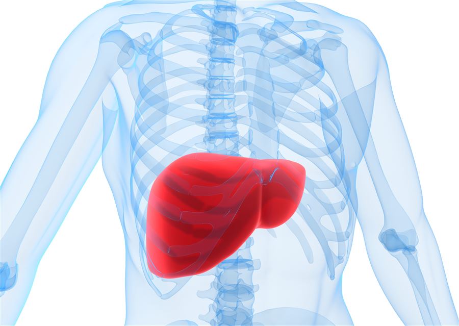 Quali sono i migliori 5 rimedi per il fegato ingrossato?